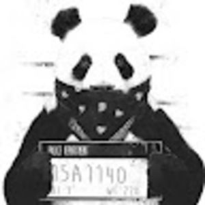 Meet your Posher, Ana